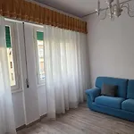 Zeus Rondinella *
